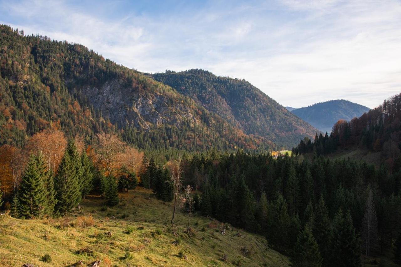 Gipfelkönig Apartman Bayrischzell Kültér fotó